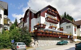 Pension Alba